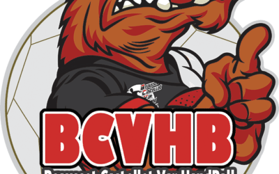 Le site du BCVHB est la !